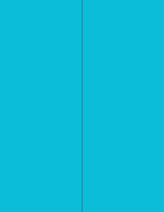8-1/2" x 11" Fluorescent Blue 2 Labels per Sheet 4-1/4" x 11"