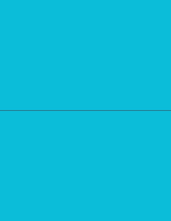 8-1/2" x 11" Fluorescent Blue 2 Labels per Sheet 8-1/2" x 5-1/2"