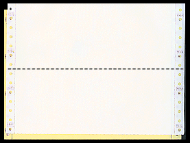 9-1/2 x 3-1/2" Continuous Paper, Color, 2 Part, Side Perfs