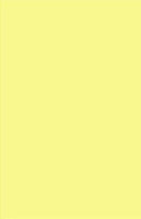 11 x 17" Ledger Size, Canary Cover Card Stock