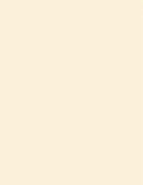 8-1/2 x 11" Letter, 67 Lb. Cover Card Stock, Ivory