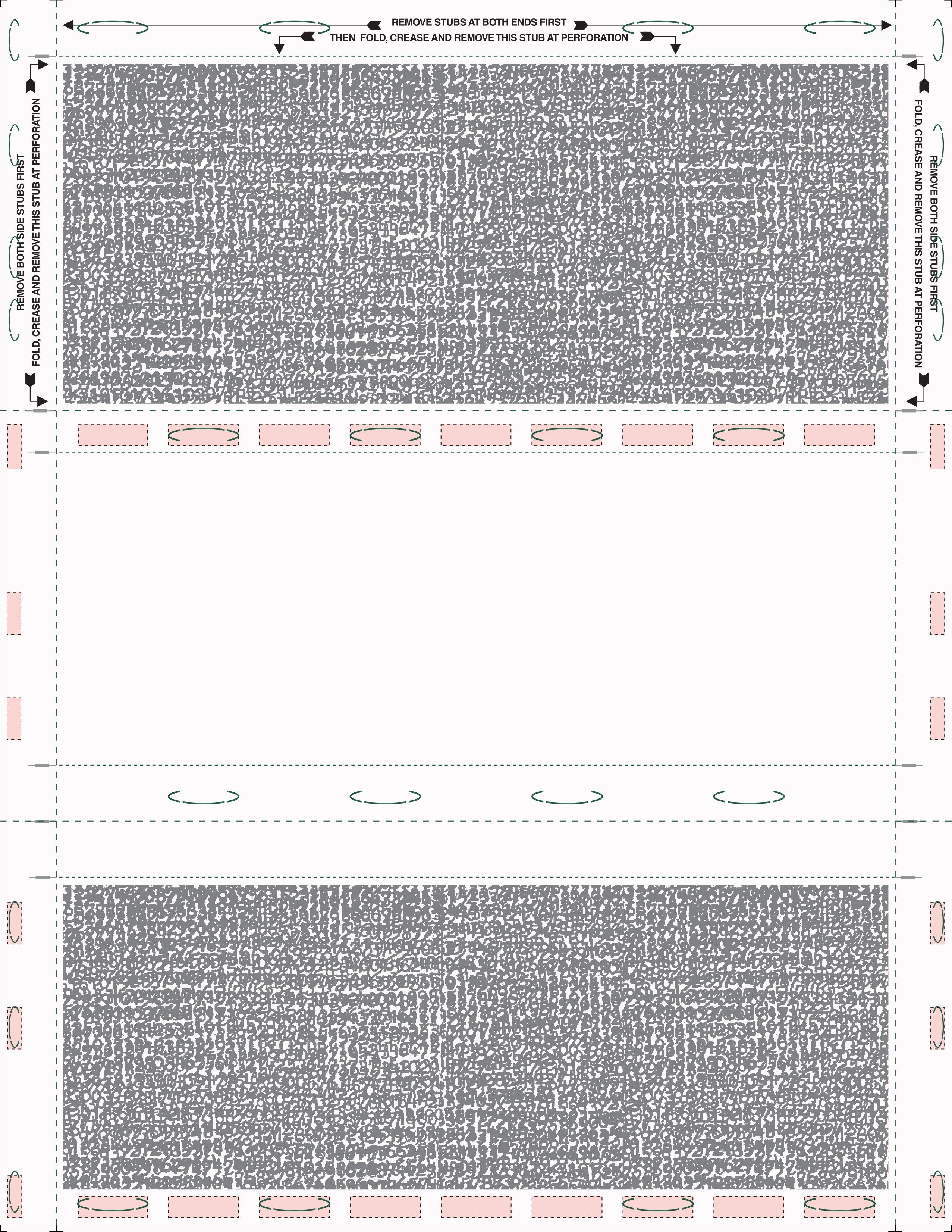 8 1/2″ x 11″ Pressure Seal Security Check Form with Black Void, Z Fold