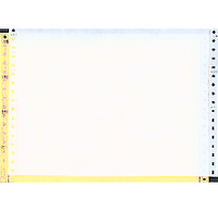 12 x 8 -1/2" Continuous Paper 15# Color, 4 Part, Side Perfs