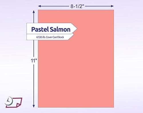 8-1/2 x 11" Letter, 67 Lb. Cover Card Stock, Salmon