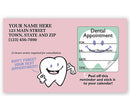 Dental Appointment Cards, Peel And Stick, Tooth Design