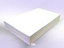 Blank Memo Pads 10 Pads 11 x 17