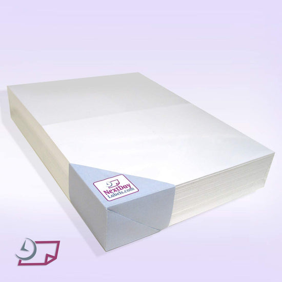 8-1/2 x 11" Laser Postcards, 8.5 x 5.5" White