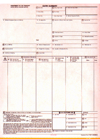 9-1/2 x 11" 5 Part Continuous Entry Summary w/ Permit