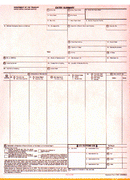 9-1/2 x 11" 5 Part Continuous Entry Summary w/ Permit