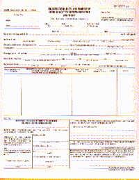 9-1/2 x 11" 5 Part Continuous Transportation Entry