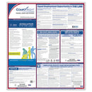 Federal Labor Law Poster