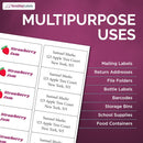 8-1/2" x 11" White Laser Labels, 10 Labels per Sheet, 4" x 2"