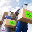 8-1/2" x 11" Fluorescent Green Labels, 1 Label per Sheet, 8-1/2" x 11"