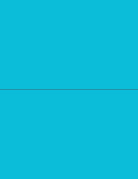 8-1/2" x 11" Fluorescent Blue Labels, 2 Labels per Sheet, 8-1/2" x 5-1/2"