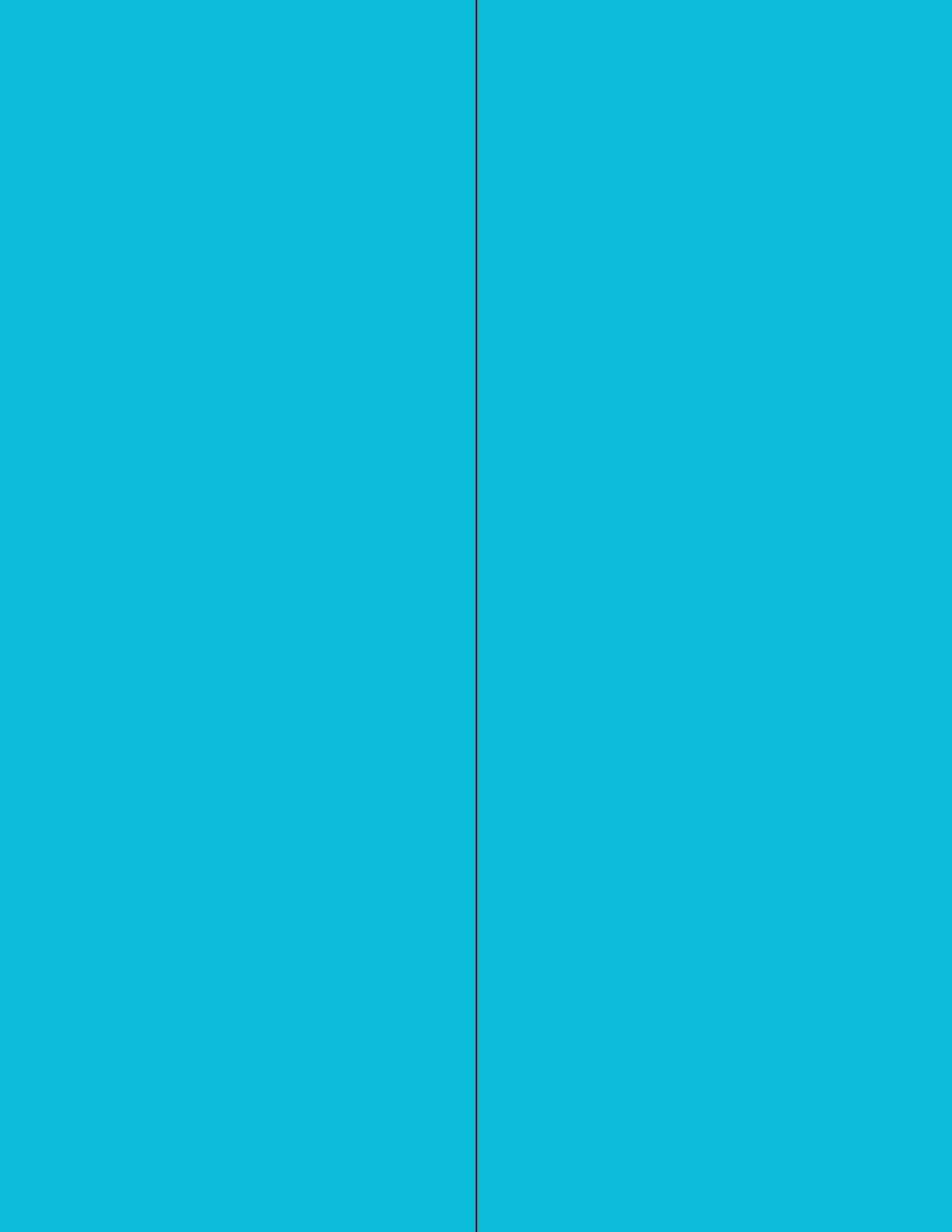 8-1/2" x 11" Fluorescent Blue Labels, 2 Labels per Sheet, 4-1/4" x 11"