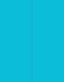 8-1/2" x 11" Fluorescent Blue Labels, 2 Labels per Sheet, 4-1/4" x 11"