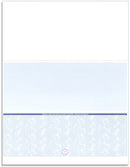 NextSecure Blank Laser Check, Blue, Check on Bottom