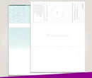 NextSecure Blank Laser Check, Green, Check on Top