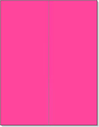 8-1/2" x 11" Fluorescent Pink 2 Labels per Sheet 4-1/4" x 11"