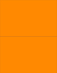 8-1/2" x 11" Fluorescent Orange 2 Labels per Sheet 8-1/2" x 5-1/2"