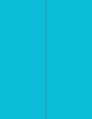 8-1/2" x 11" Fluorescent Blue 2 Labels per Sheet 4-1/4" x 11"