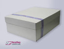 #9 Double Window Tinted  Envelopes