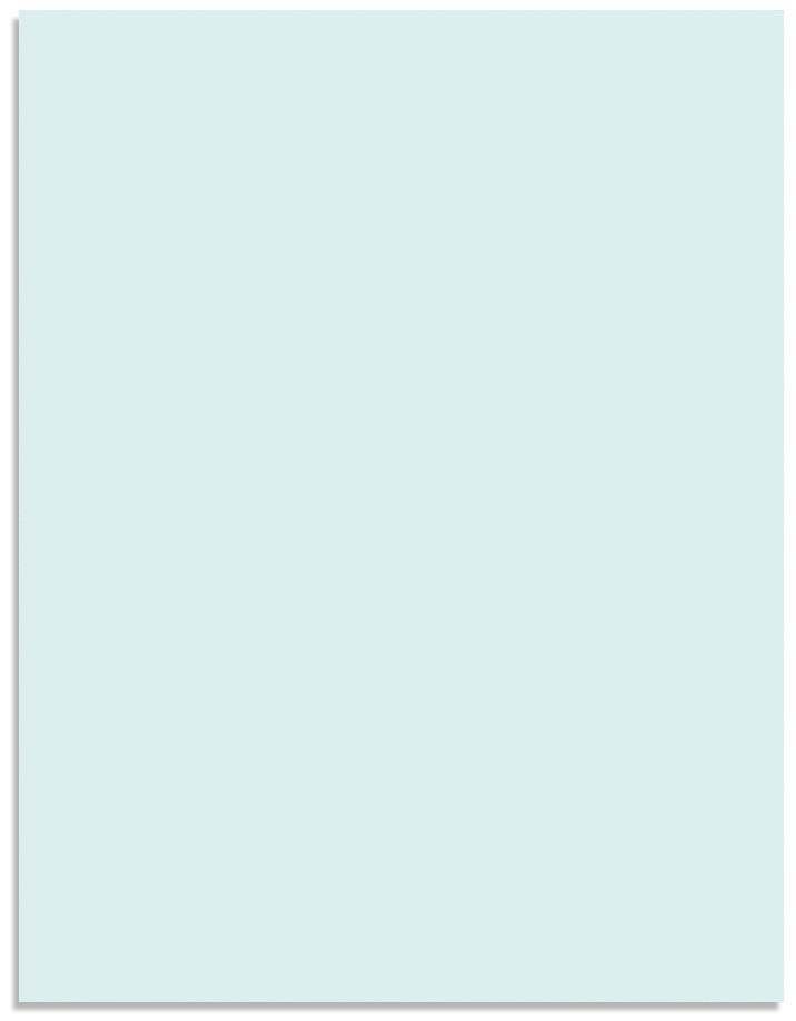 8-1/2" x 11" Security Paper, Unauthorized Pantograph, 1 Part, Light Green