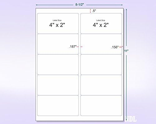 8-1/2" x 11" Blue Fluorescent 10 Labels per Sheet 4 x 2