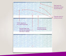 Blank Laser Checks, 3 per Page, Blue/Green Prismatic
