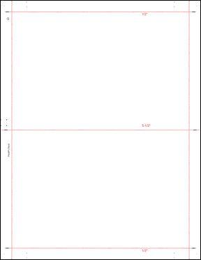 8 1/2" x 11" Pressure Seal Form, Multi-Purpose Blank Face, V Fold.