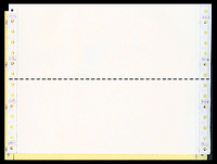 9-1/2 x 3-1/2" Continuous Paper, Color, 2 Part, Side Perfs
